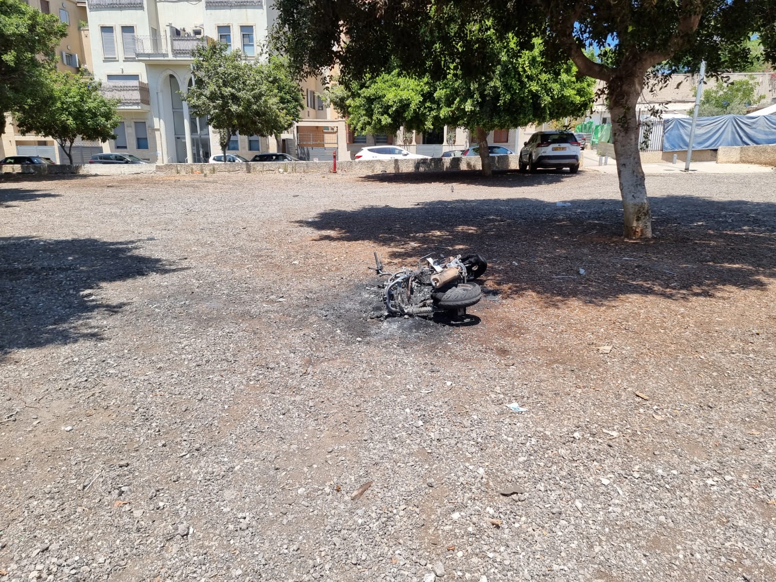 WhatsApp Image 2022-06-28 at 12.53.21 PM.jpeg